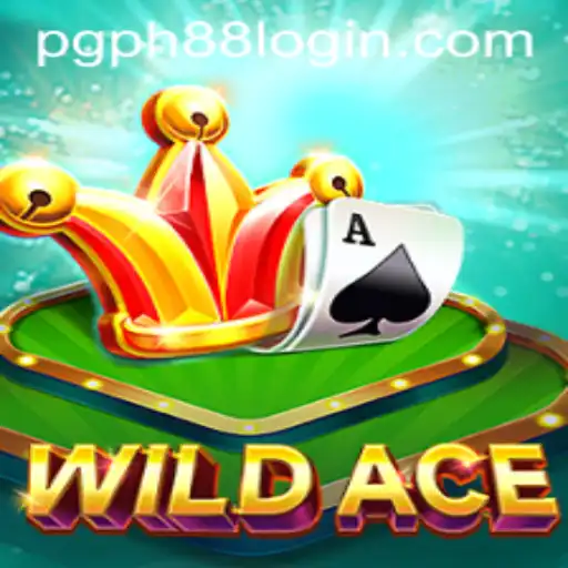 Exploring WildAce: A Thrilling Adventure in the Digital Arena